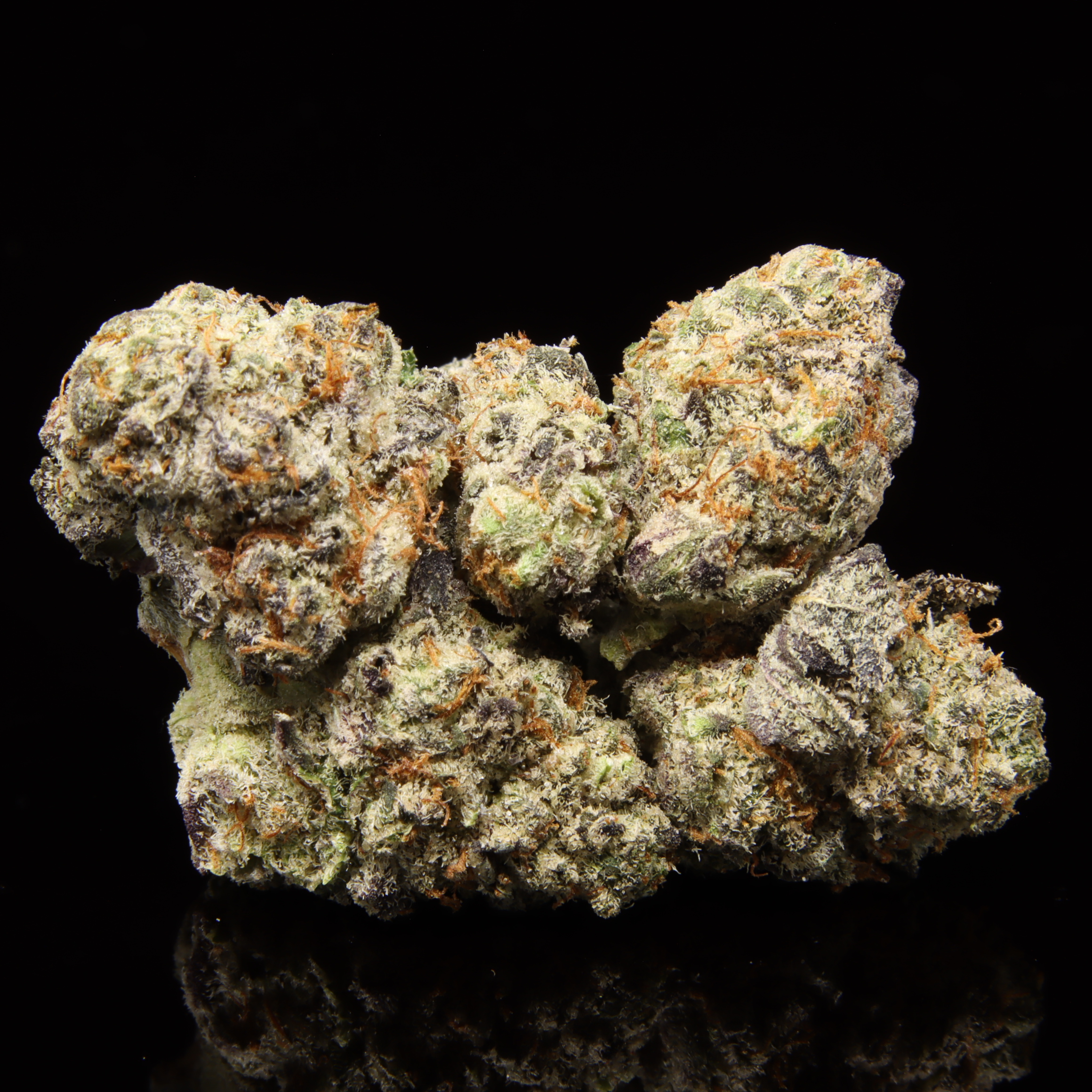 Peanut Butter Breath SMALLS - NEW DROP: OCT 2.