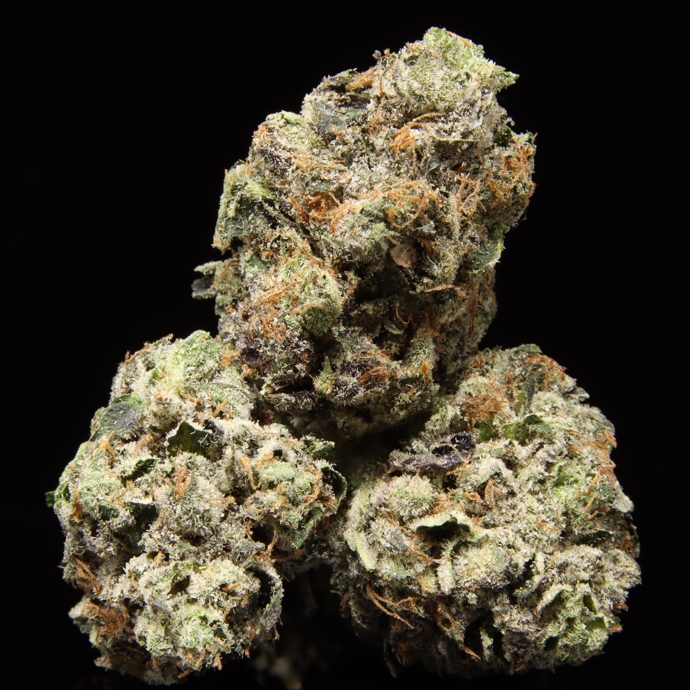 Tuna SMALLS – NEW DROP: OCT 2.