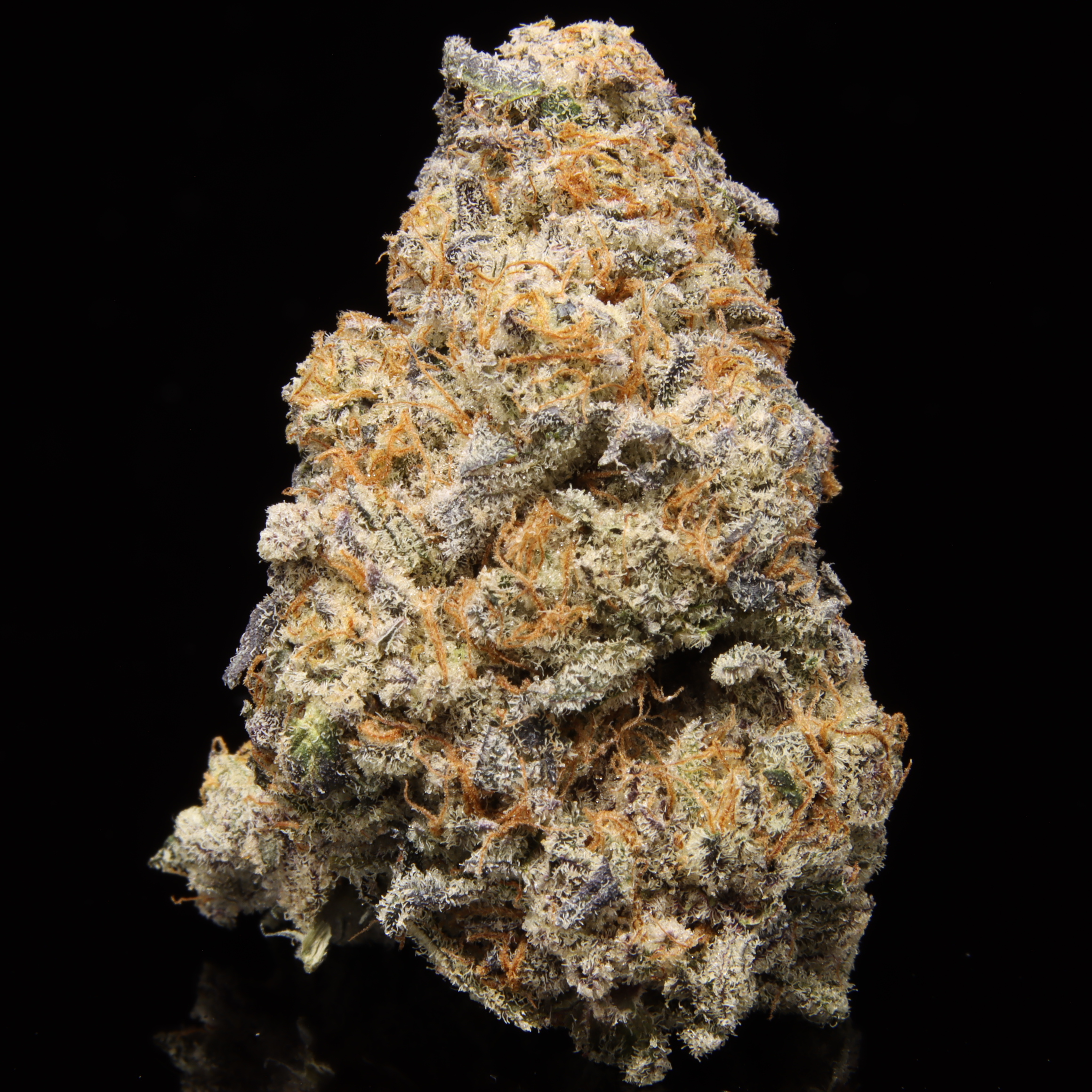 Sweet Mountain Honey - Cultivated By Mega Meisho