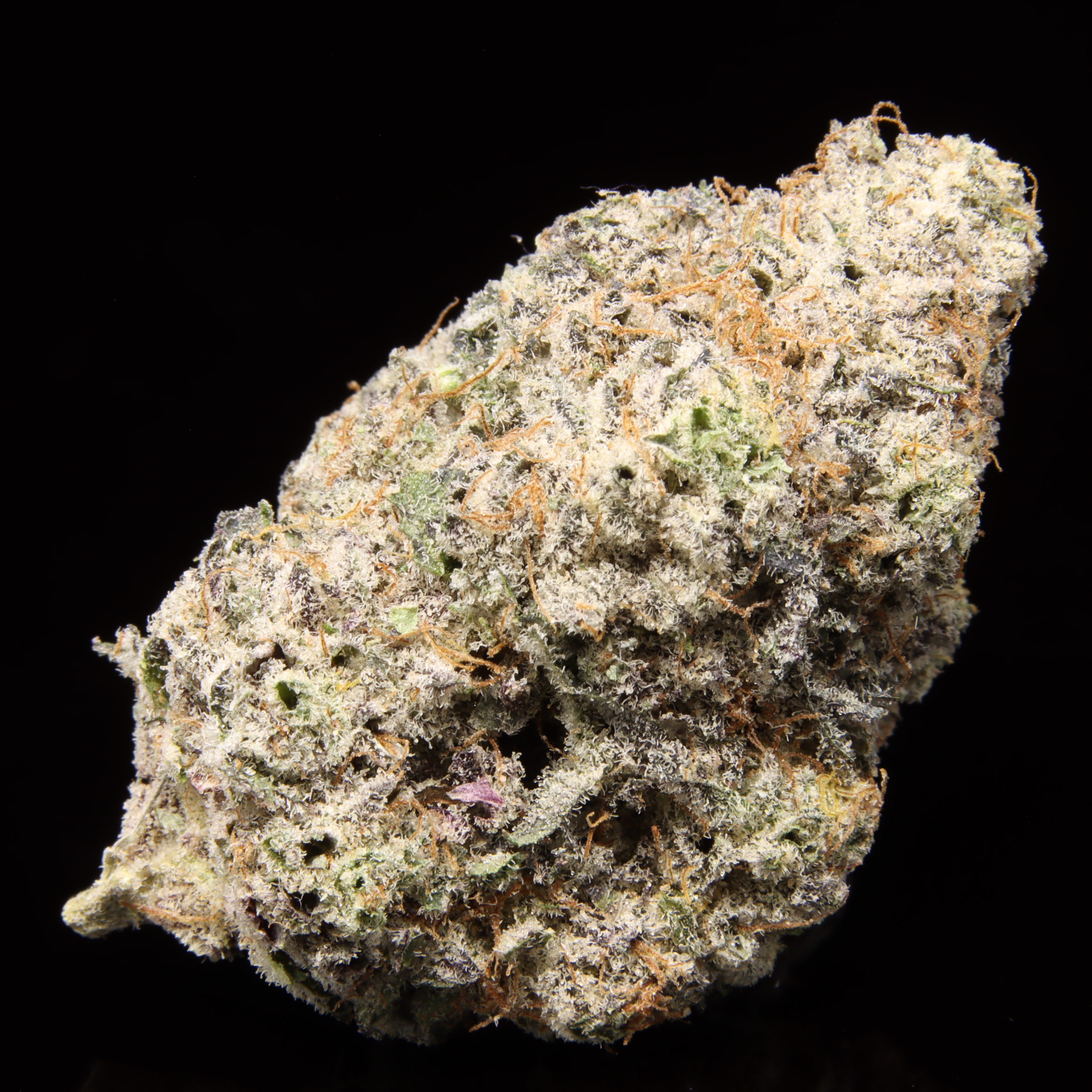 Blurple Urkle – NEW DROP: OCT 2.