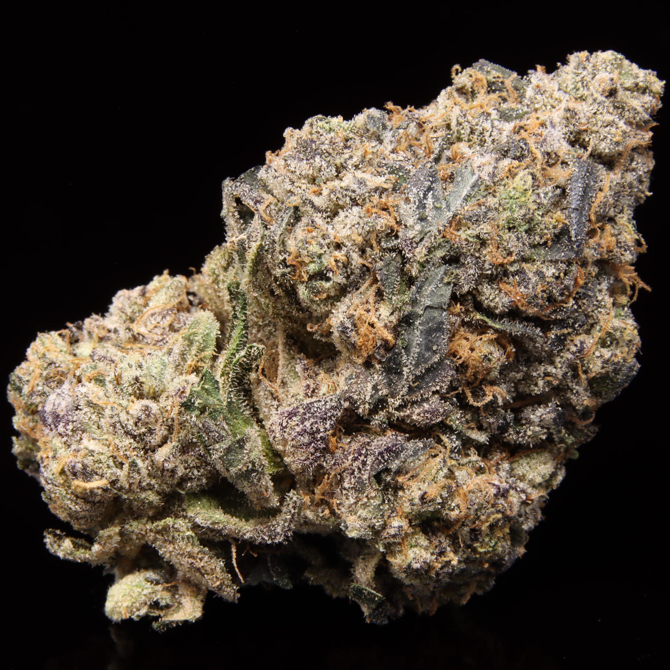 Gas Face By Kingsman – NEW DROP: OCT 2.