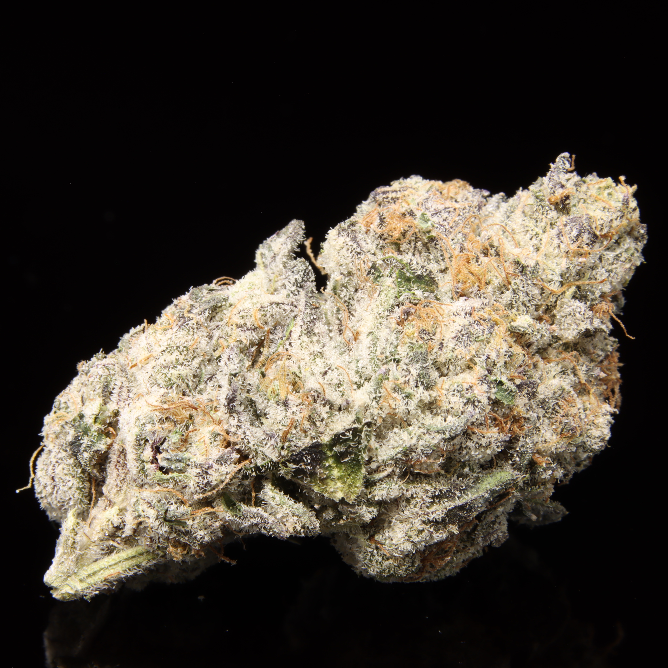 Platinum Runtz – NEW DROP: OCT 2.