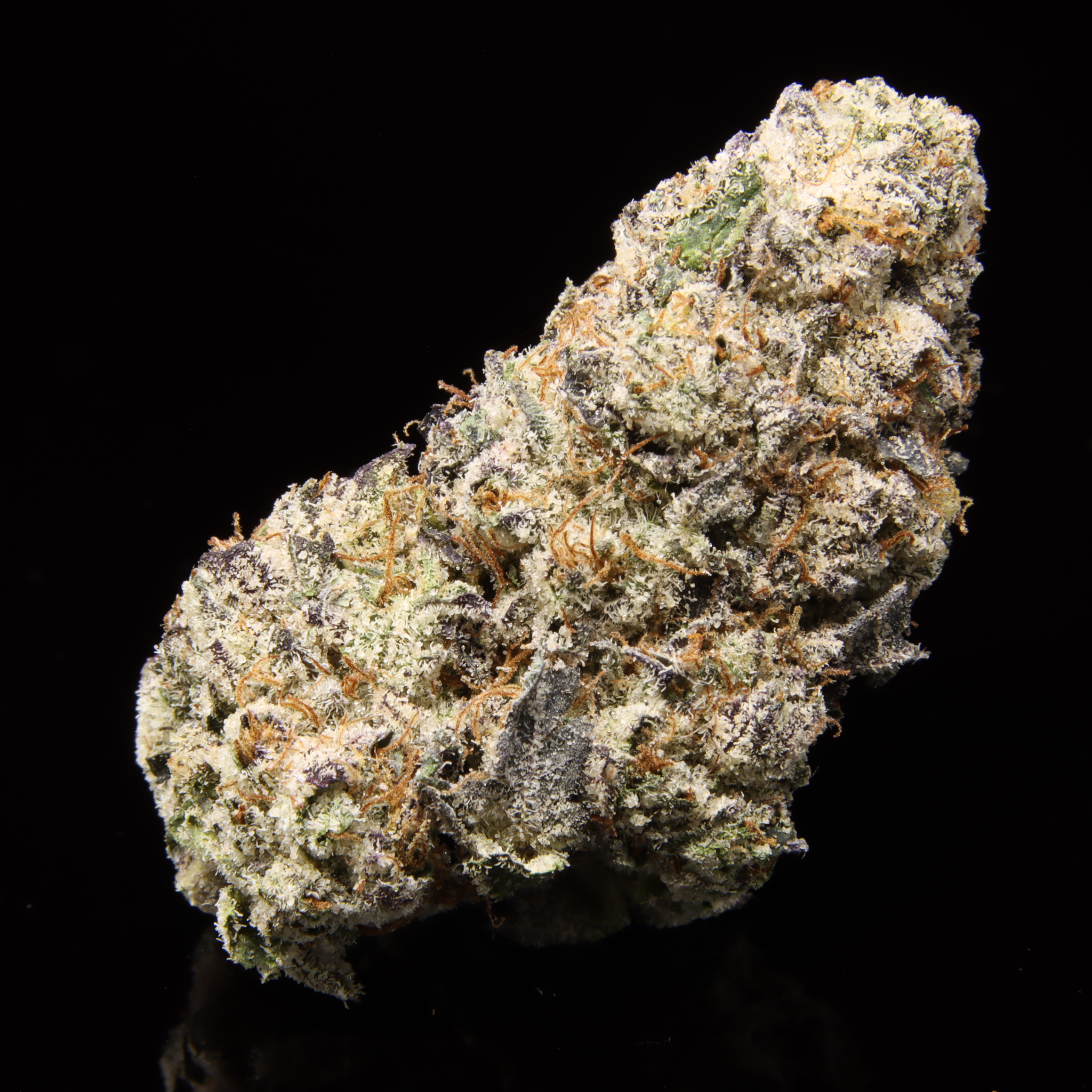 Raspberry Soufflé – NEW DROP: OCT 2.