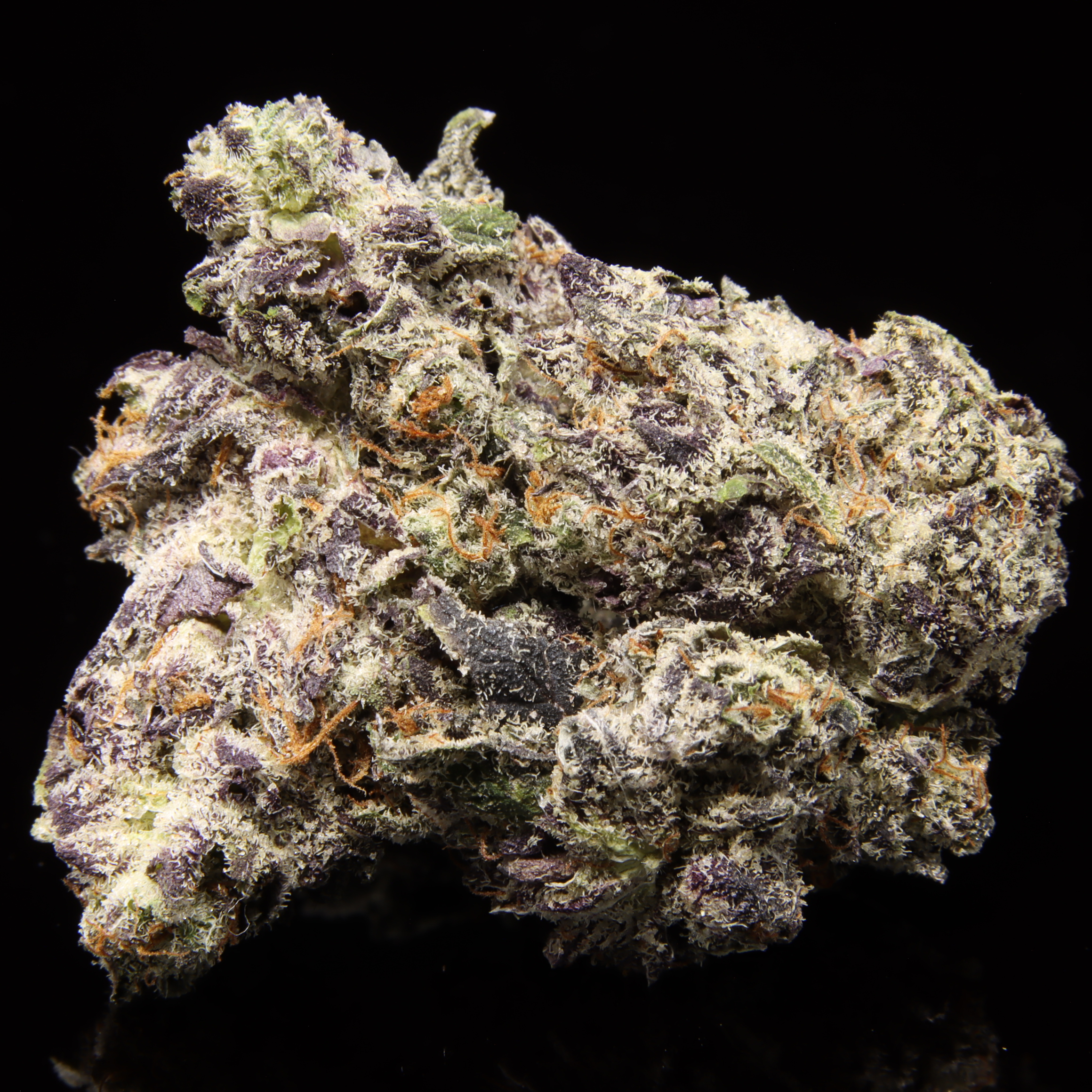 White Truffle SMALLS – NEW DROP: OCT 2.